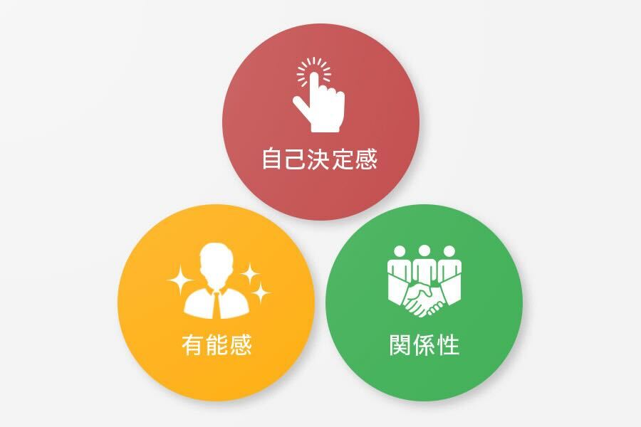 自己決定感・有能感・関係性