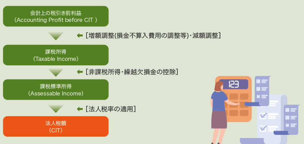 法人税確定申告書の計算フロー